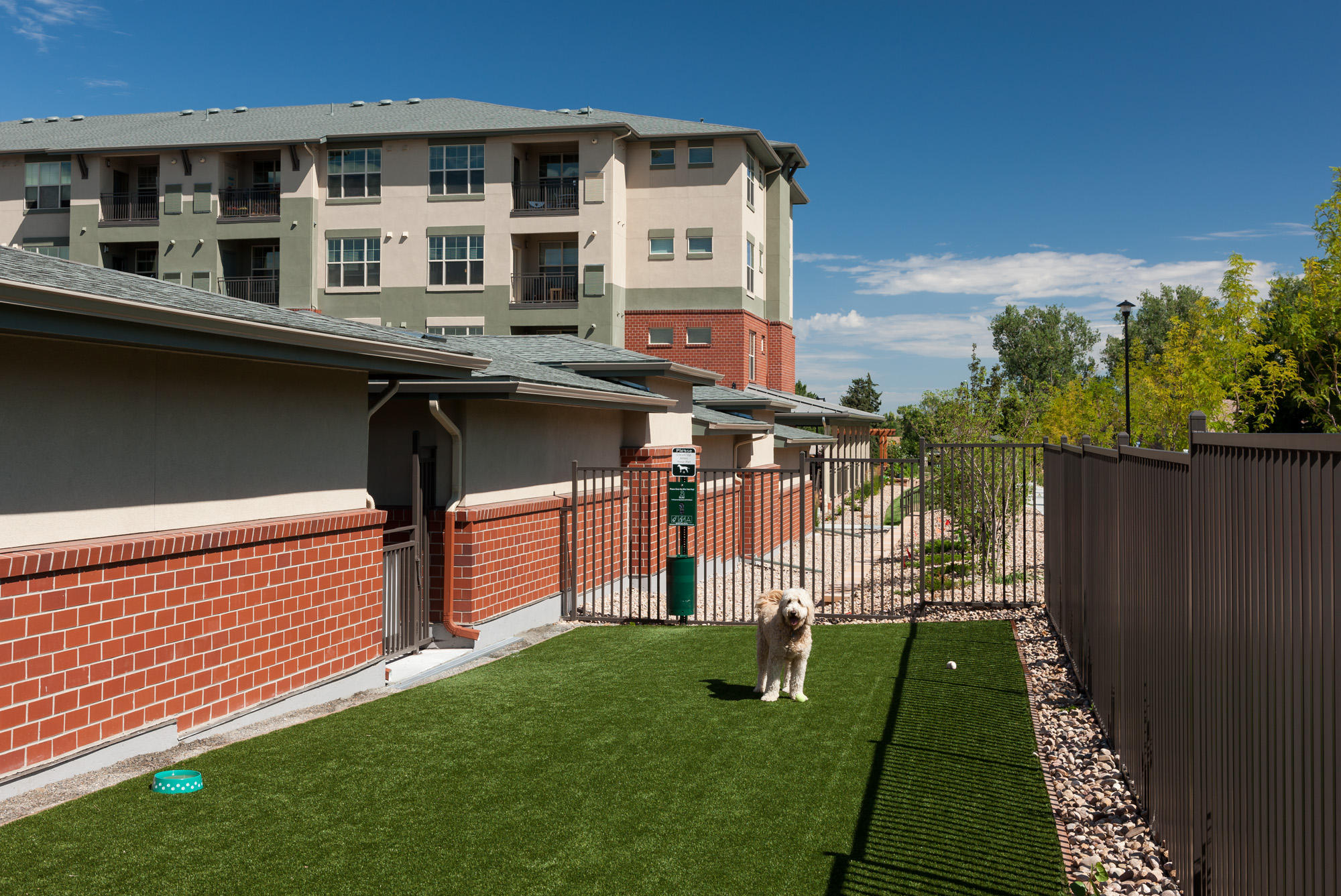 Dog Run